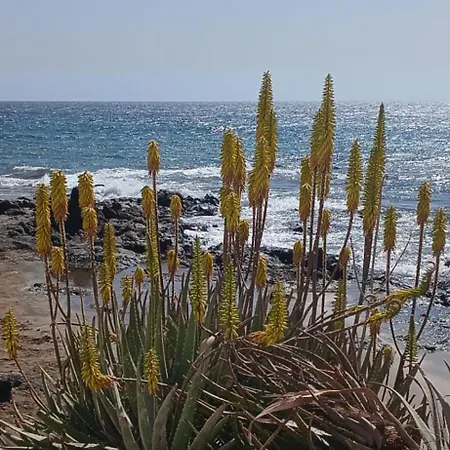 Σπίτι διακοπών Mar&sun Casa Florida Πουέρτο Ντελ Κάρμεν